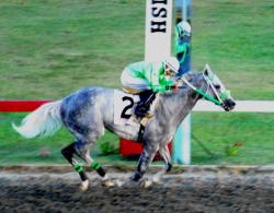 Gato Paso wins debut in "Independence Day Classic." Gato Paso wins debut in "Independence Day Classic."
